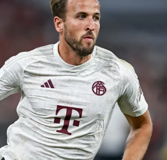 不仅提升了 不仅提升了